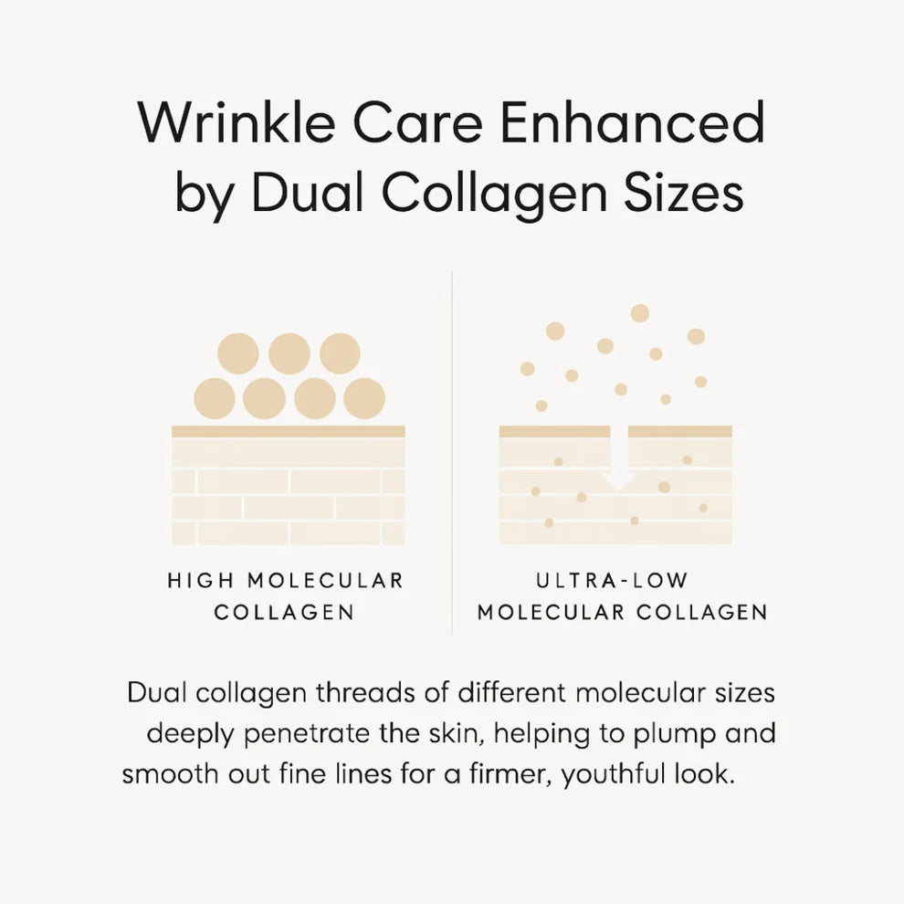 Deep Collagen Silk Peptide Ampoule