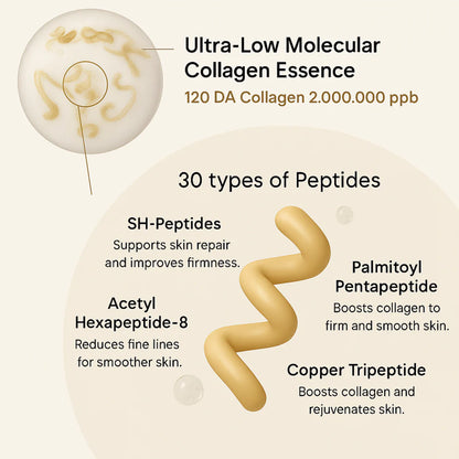 Deep Collagen Silk Peptide Ampoule