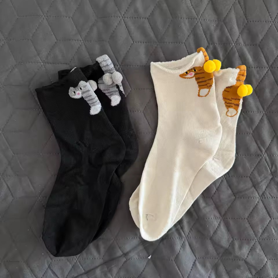 Sarah T. | Jan 13, 2026